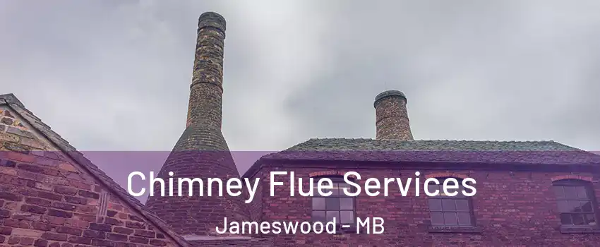  Chimney Flue Services Jameswood - MB