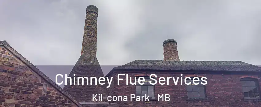  Chimney Flue Services Kil-cona Park - MB