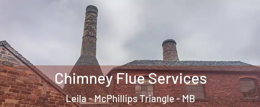  Chimney Flue Services Leila - McPhillips Triangle - MB