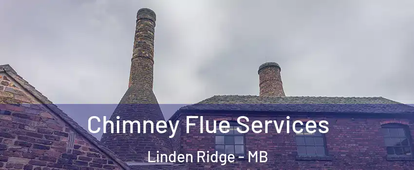  Chimney Flue Services Linden Ridge - MB