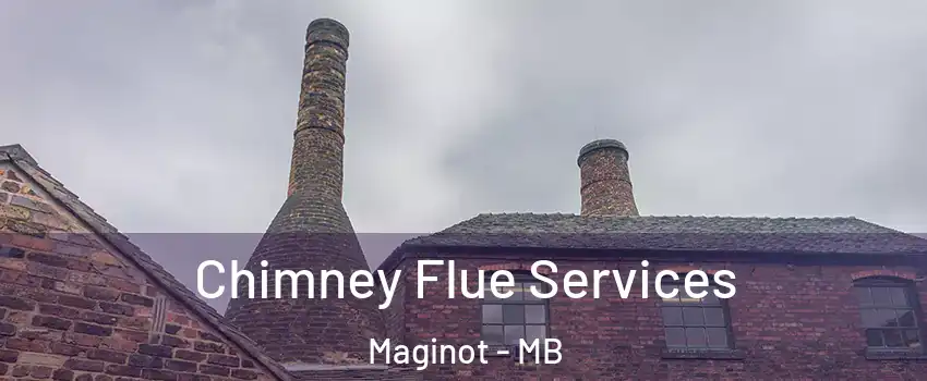  Chimney Flue Services Maginot - MB