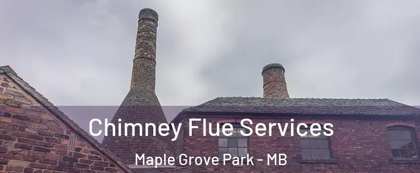  Chimney Flue Services Maple Grove Park - MB
