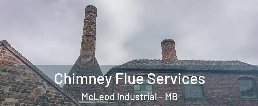  Chimney Flue Services McLeod Industrial - MB