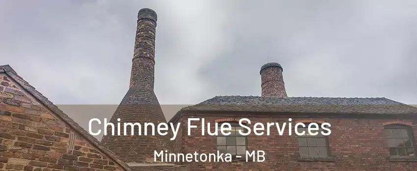  Chimney Flue Services Minnetonka - MB