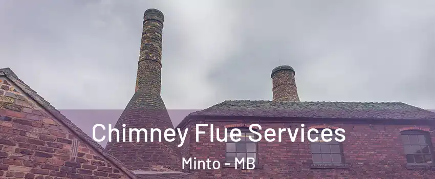  Chimney Flue Services Minto - MB