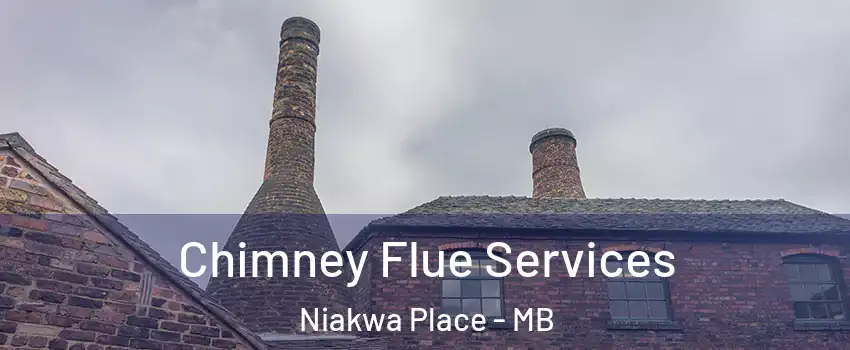  Chimney Flue Services Niakwa Place - MB