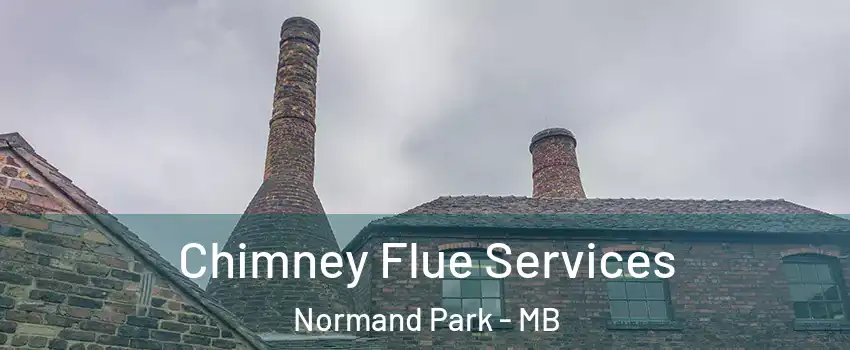  Chimney Flue Services Normand Park - MB