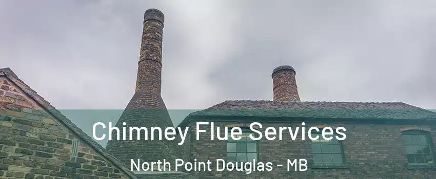  Chimney Flue Services North Point Douglas - MB