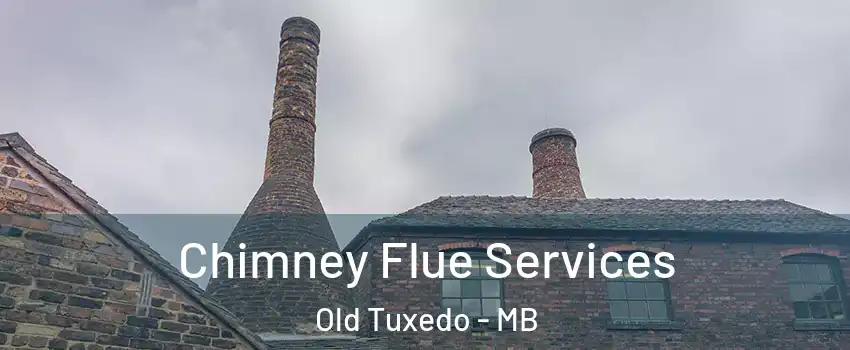  Chimney Flue Services Old Tuxedo - MB