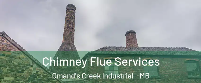  Chimney Flue Services Omand's Creek Industrial - MB
