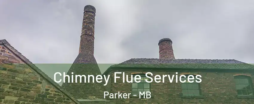  Chimney Flue Services Parker - MB
