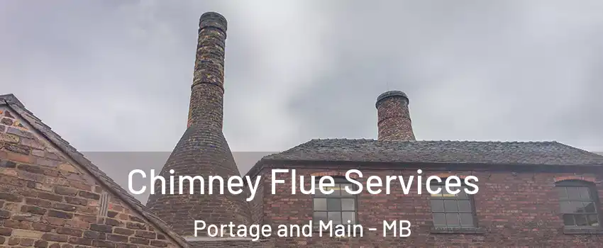  Chimney Flue Services Portage and Main - MB
