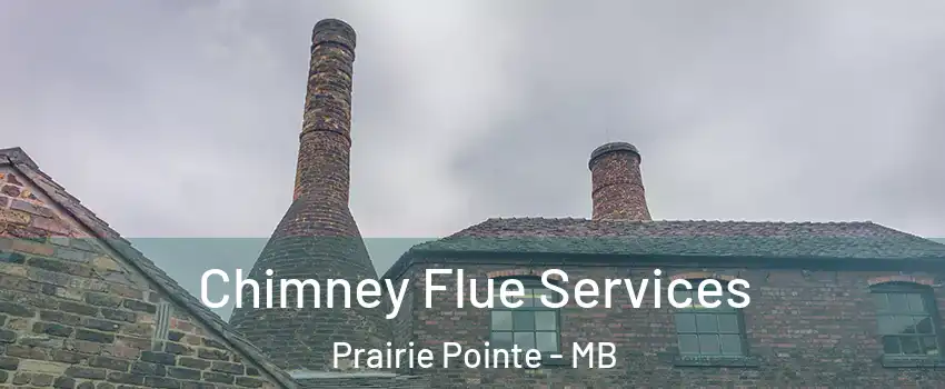  Chimney Flue Services Prairie Pointe - MB