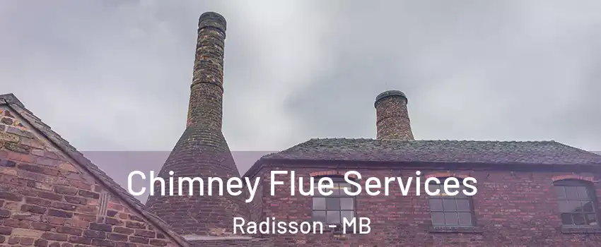  Chimney Flue Services Radisson - MB
