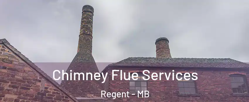  Chimney Flue Services Regent - MB