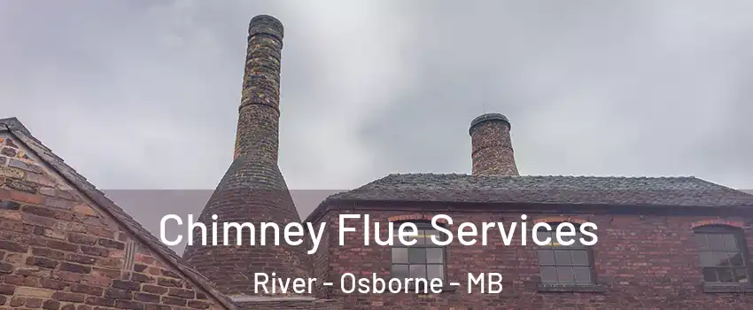  Chimney Flue Services River - Osborne - MB