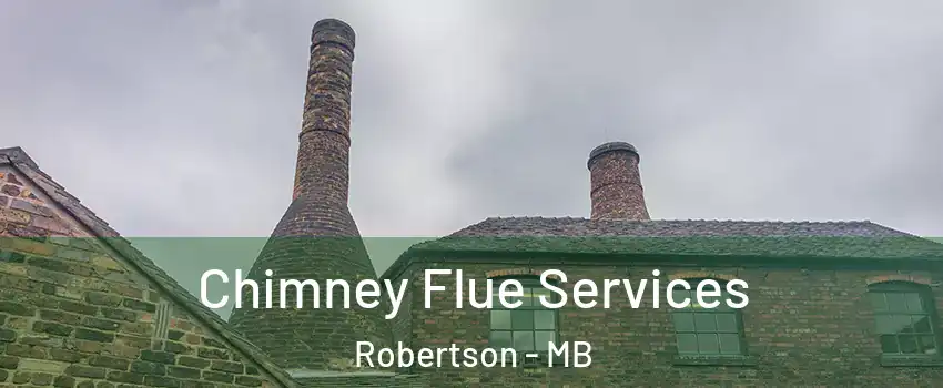  Chimney Flue Services Robertson - MB