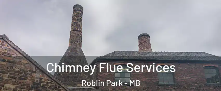  Chimney Flue Services Roblin Park - MB