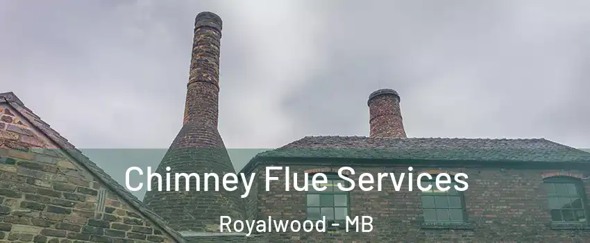  Chimney Flue Services Royalwood - MB