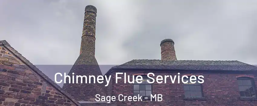  Chimney Flue Services Sage Creek - MB