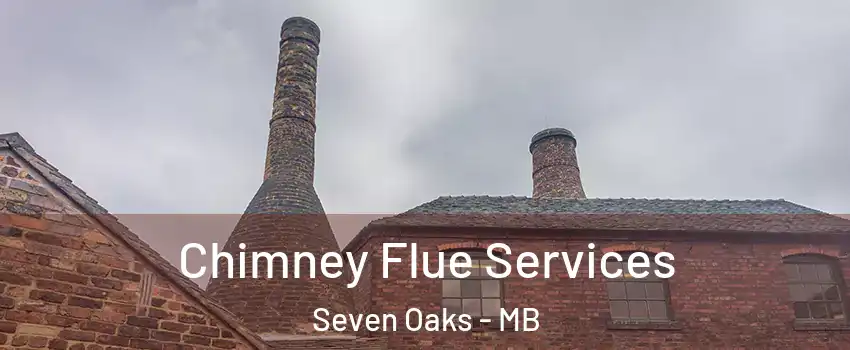 Chimney Flue Services Seven Oaks - MB