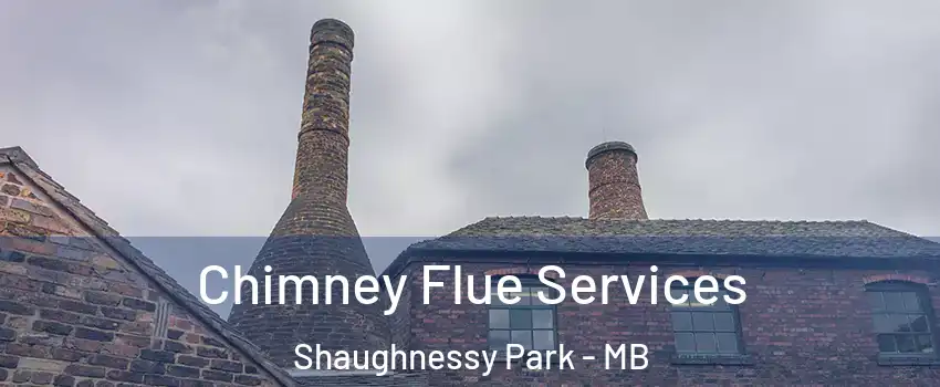  Chimney Flue Services Shaughnessy Park - MB