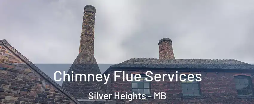  Chimney Flue Services Silver Heights - MB