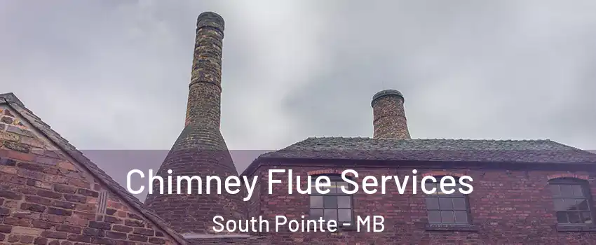  Chimney Flue Services South Pointe - MB