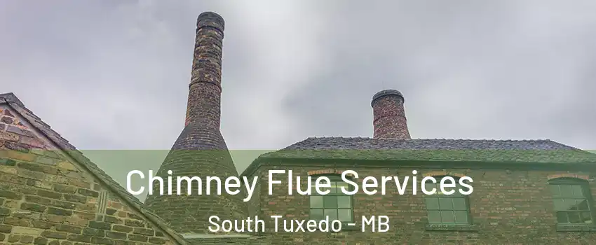  Chimney Flue Services South Tuxedo - MB