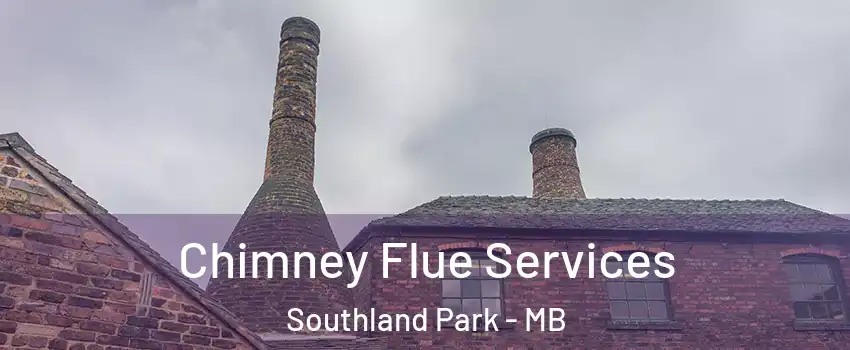  Chimney Flue Services Southland Park - MB