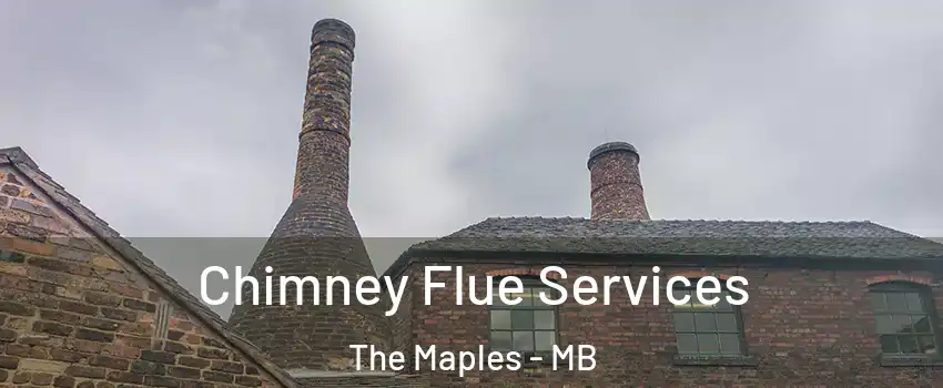  Chimney Flue Services The Maples - MB