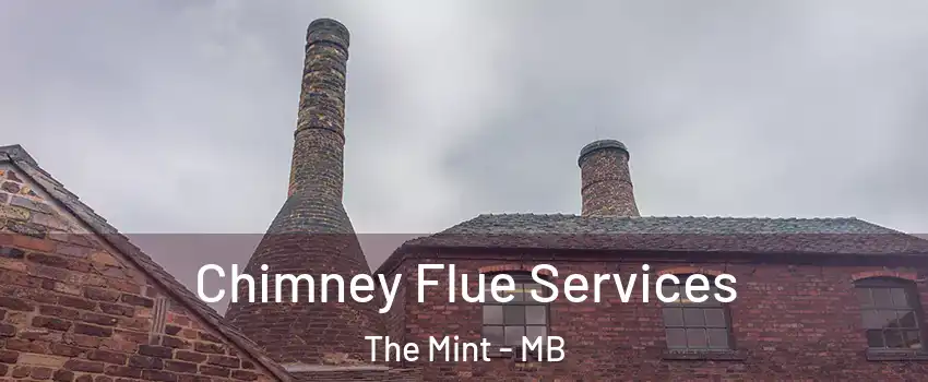  Chimney Flue Services The Mint - MB