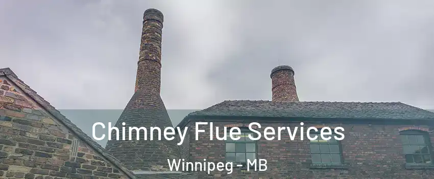  Chimney Flue Services Winnipeg - MB