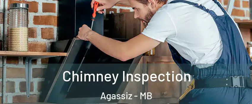  Chimney Inspection Agassiz - MB