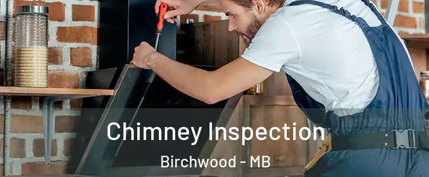  Chimney Inspection Birchwood - MB