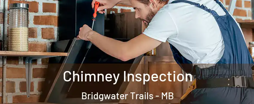  Chimney Inspection Bridgwater Trails - MB