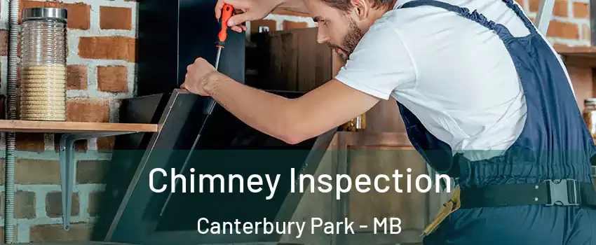  Chimney Inspection Canterbury Park - MB