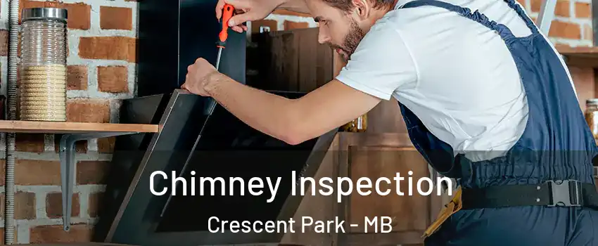  Chimney Inspection Crescent Park - MB