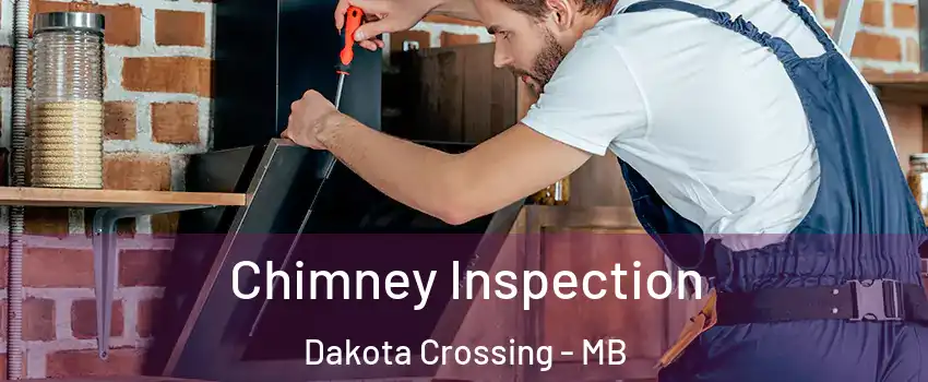  Chimney Inspection Dakota Crossing - MB