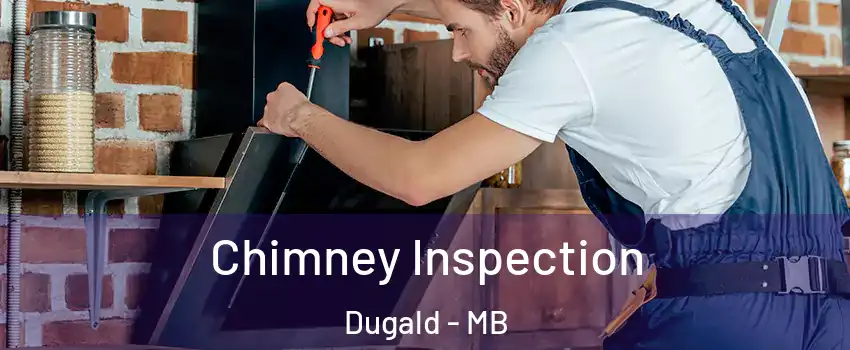  Chimney Inspection Dugald - MB