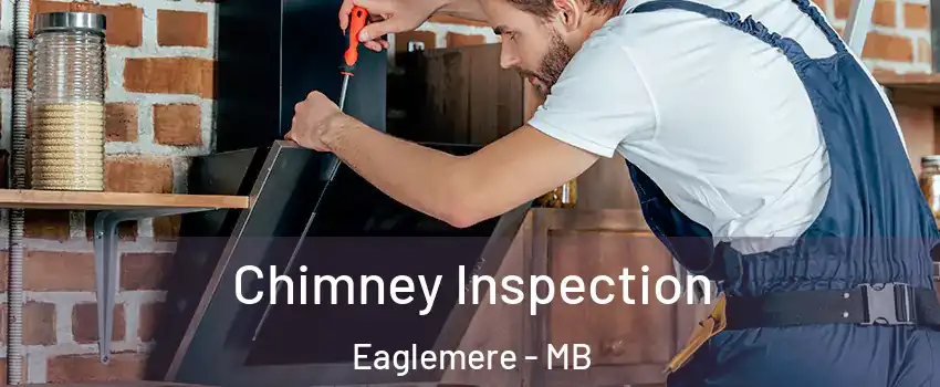  Chimney Inspection Eaglemere - MB