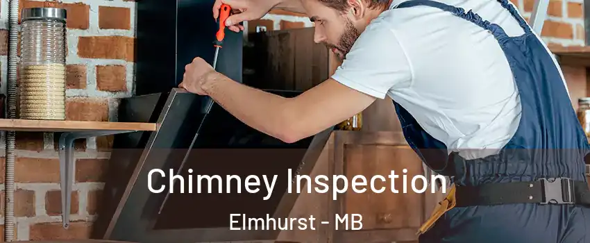  Chimney Inspection Elmhurst - MB