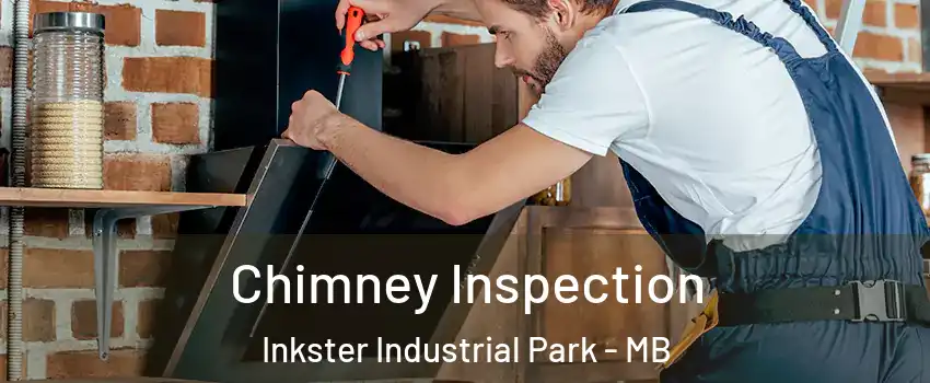  Chimney Inspection Inkster Industrial Park - MB