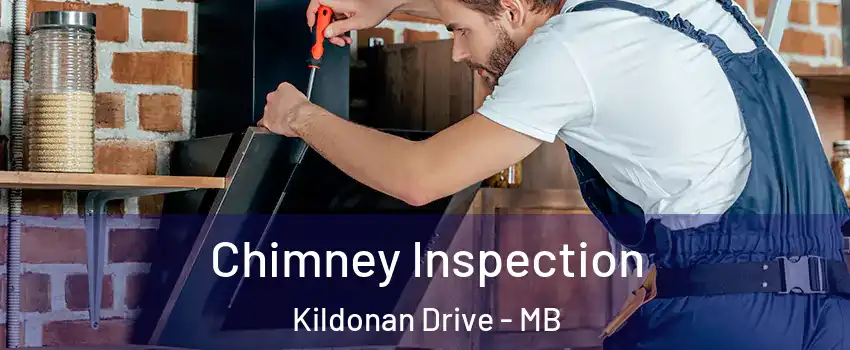  Chimney Inspection Kildonan Drive - MB