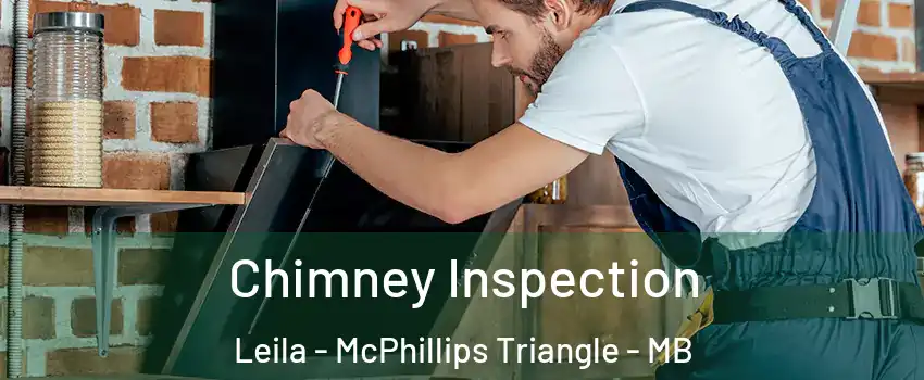  Chimney Inspection Leila - McPhillips Triangle - MB