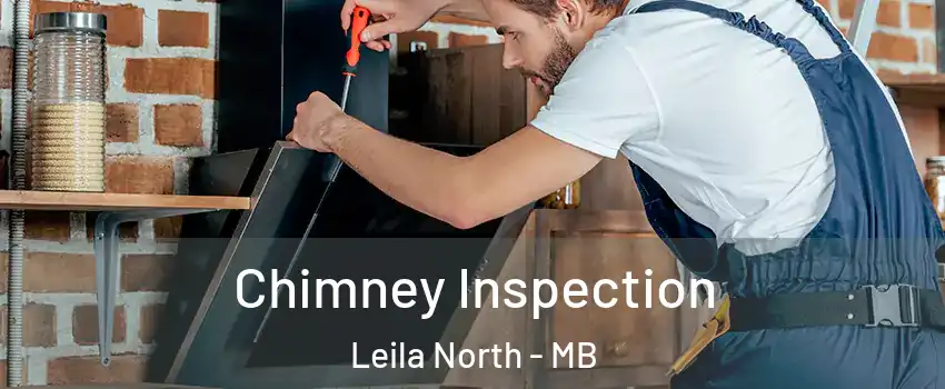  Chimney Inspection Leila North - MB