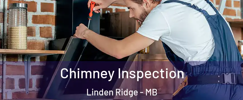  Chimney Inspection Linden Ridge - MB