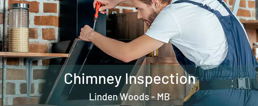  Chimney Inspection Linden Woods - MB