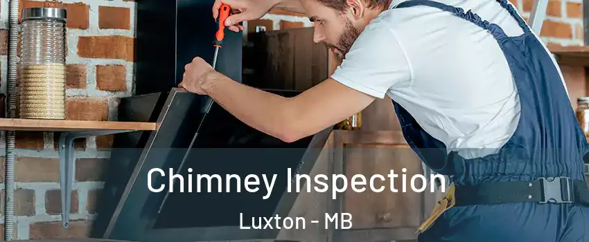  Chimney Inspection Luxton - MB