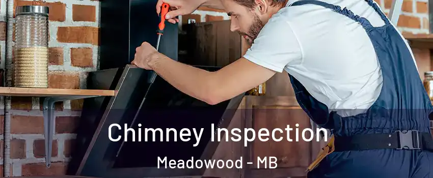 Chimney Inspection Meadowood - MB